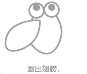 蟬的翅膀，簡筆畫