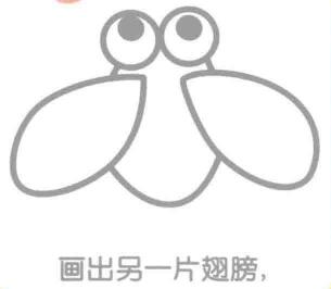 蟬的簡筆畫畫法步驟04