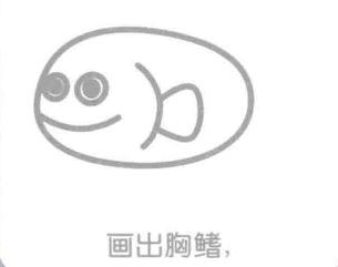 石斑魚的胸鰭，簡筆畫