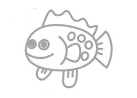 石斑魚(yú)簡(jiǎn)筆畫(huà)