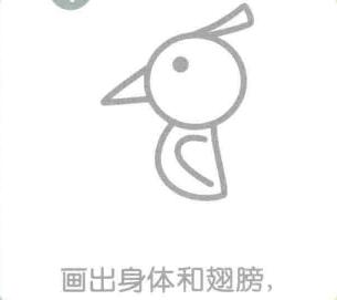 啄木鳥的身體和翅膀，簡筆畫