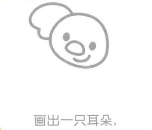 考拉的耳朵，簡(jiǎn)筆畫