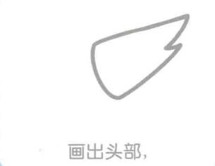 蝦的頭部，簡(jiǎn)筆畫