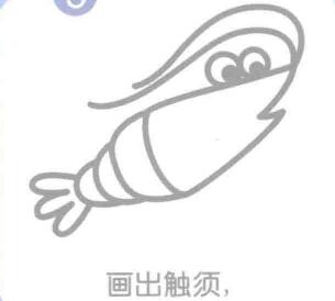 蝦的觸須，簡(jiǎn)筆畫