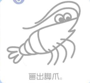 蝦的簡(jiǎn)筆畫