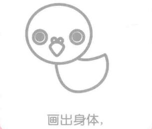 鴿子的身體，簡(jiǎn)筆畫(huà)