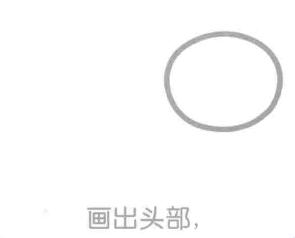 松鼠的頭部，簡(jiǎn)筆畫(huà)