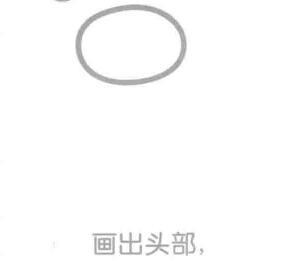 鸚鵡的頭部，簡(jiǎn)筆畫(huà)