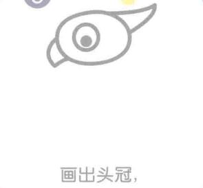 鸚鵡的頭冠，簡(jiǎn)筆畫(huà)