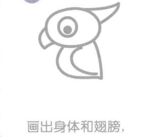 鸚鵡的身體和翅膀，簡(jiǎn)筆畫(huà)