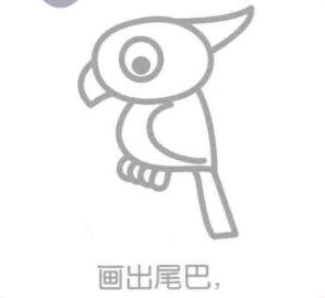 鸚鵡的尾巴，簡(jiǎn)筆畫(huà)