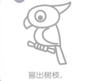 鸚鵡簡(jiǎn)筆畫(huà)