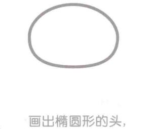 浣熊的頭部，簡筆畫