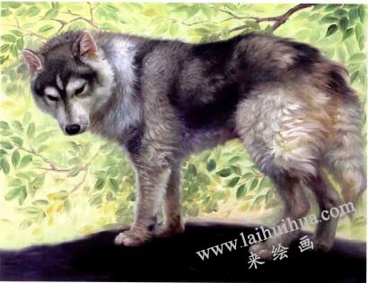 《秋韻》油畫(huà)創(chuàng)作步驟四