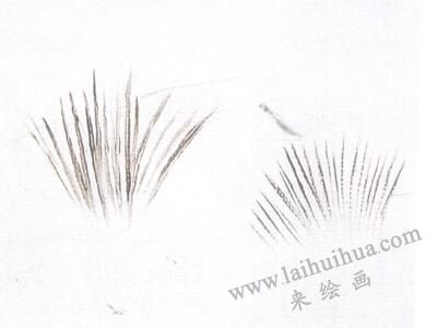 描毛法，油畫貓