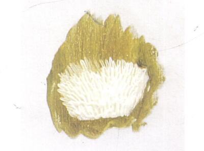 積色點(diǎn)毛法，油畫貓