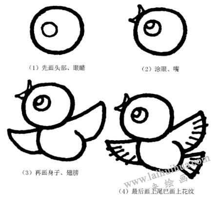 鳥的畫法
