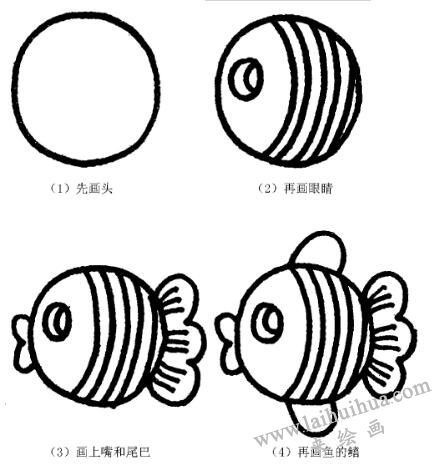 熱帶魚的畫法