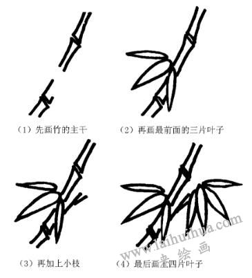 竹子的畫法