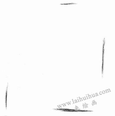 中國(guó)貍花貓素描畫法步驟01