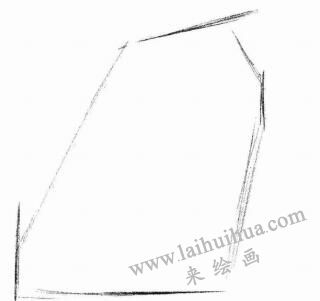 蝴蝶犬的素描畫(huà)法步驟01