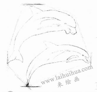 海豚的素描畫(huà)法步驟02