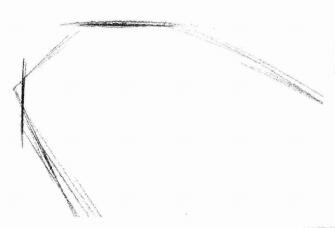 孔雀的素描畫(huà)法步驟01