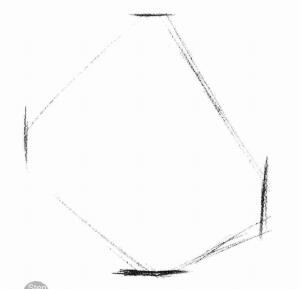 蜜蜂的素描畫法步驟01