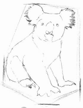 考拉的素描畫法步驟02