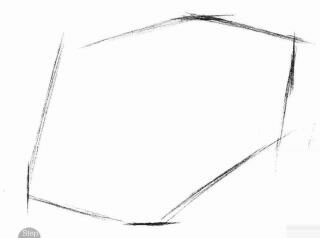 大象的素描畫法步驟01