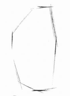 斑馬的素描畫法步驟01