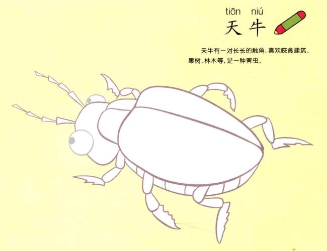 天牛兒童畫