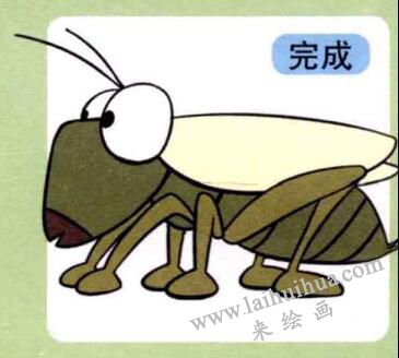 蝗蟲的畫法步驟04