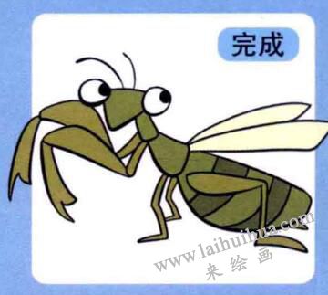 螳螂兒童畫