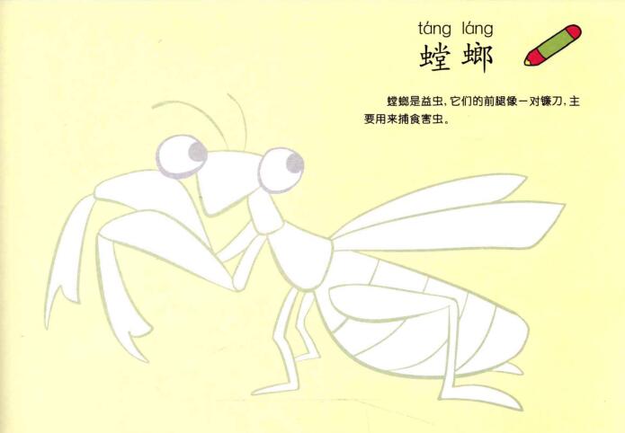 螳螂兒童畫