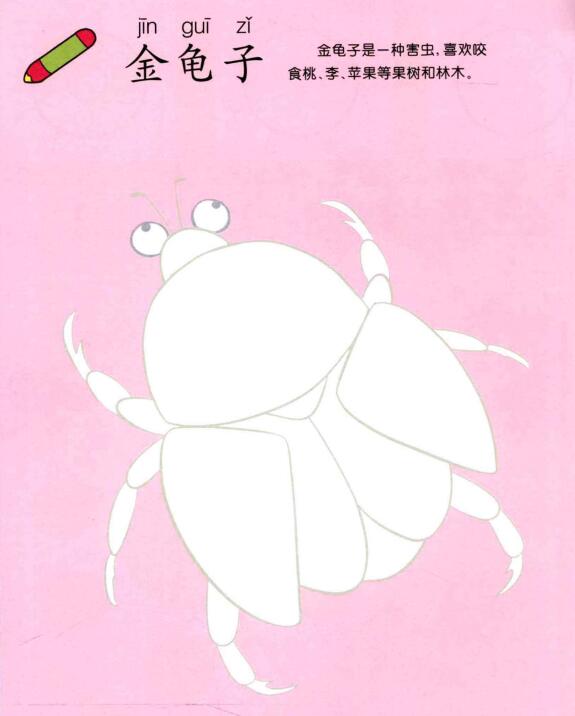 金龜子兒童畫
