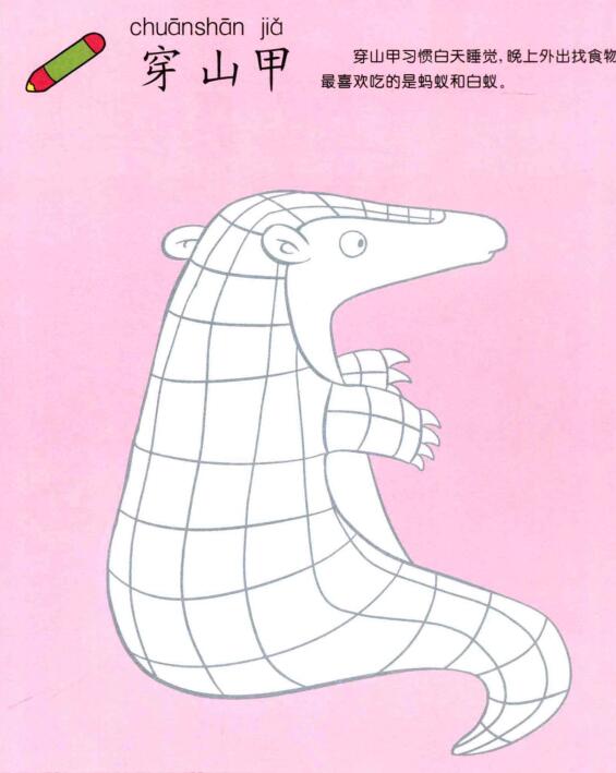 穿山甲兒童畫(huà)