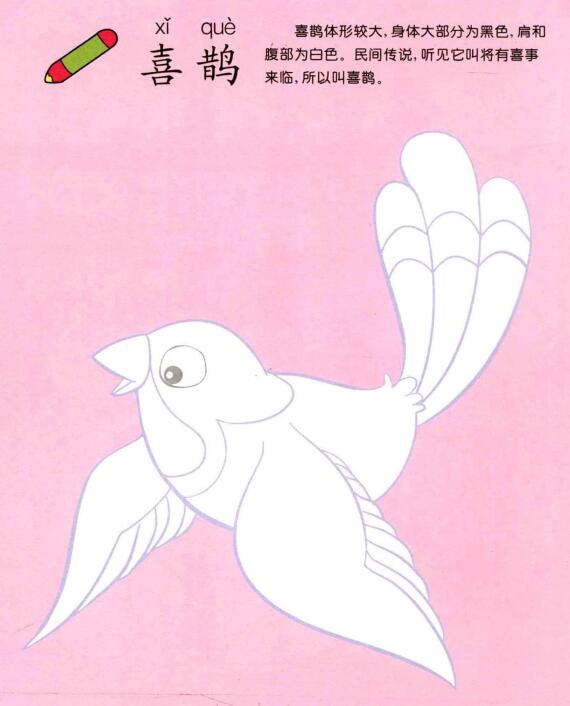 喜鵲兒童畫