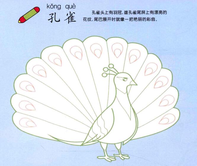 孔雀兒童畫(huà)法（一）