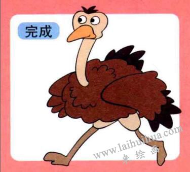 鴕鳥兒童畫
