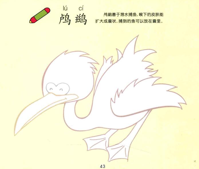 鸕鶿兒童畫
