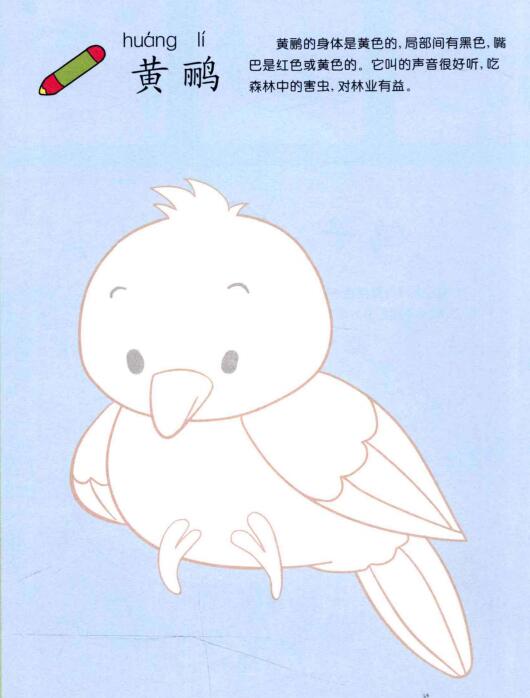 黃鸝兒童畫