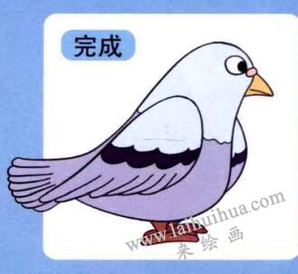 鴿子兒童畫