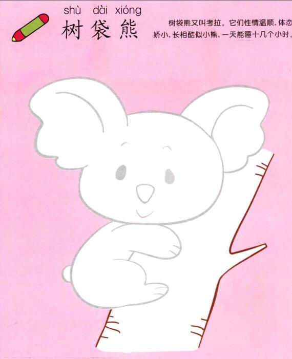 樹袋熊兒童畫