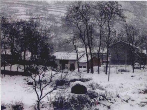 山水畫創(chuàng)作的基礎(chǔ)