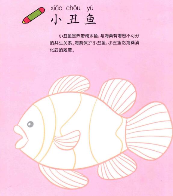 小丑魚兒童畫
