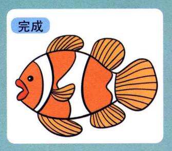 小丑魚兒童畫，熱帶咸水魚兒童畫
