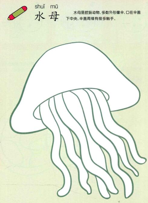 水母兒童畫法（一）