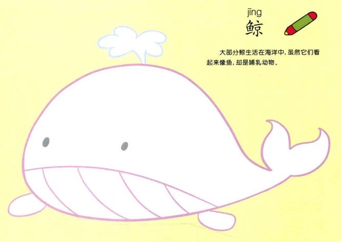 鯨魚兒童畫