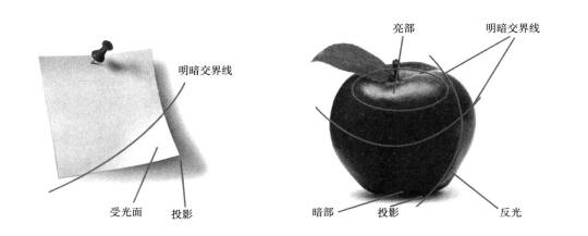 鉛筆素描的表現(xiàn)原則